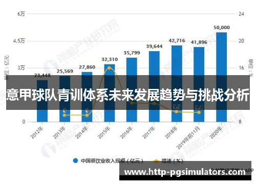 意甲球队青训体系未来发展趋势与挑战分析