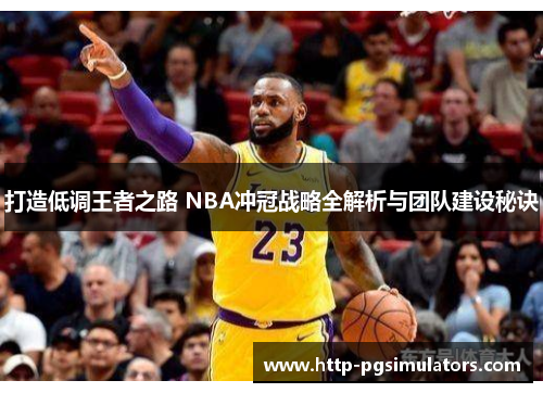 打造低调王者之路 NBA冲冠战略全解析与团队建设秘诀