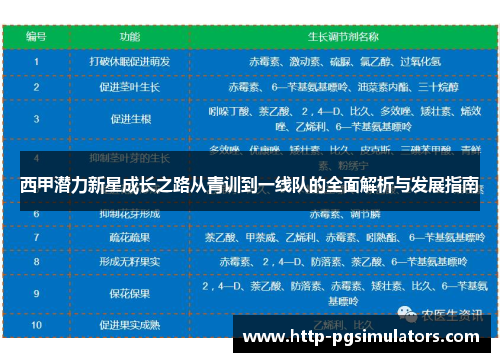 西甲潜力新星成长之路从青训到一线队的全面解析与发展指南 西甲潜力新星成长之路从青训到一线队的全面解析与发展指南