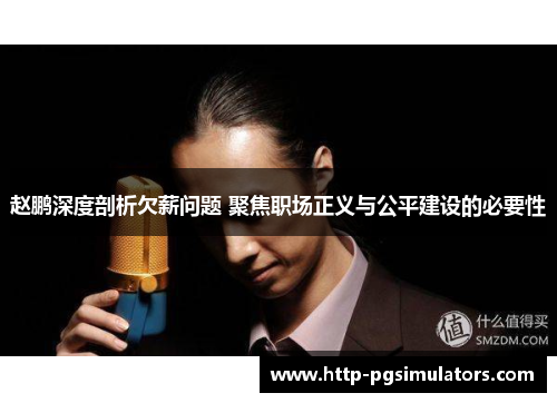 赵鹏深度剖析欠薪问题 聚焦职场正义与公平建设的必要性