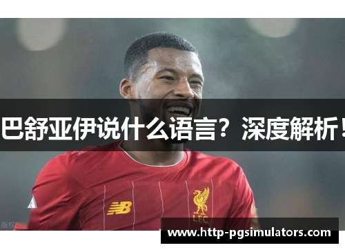 巴舒亚伊说什么语言？深度解析！