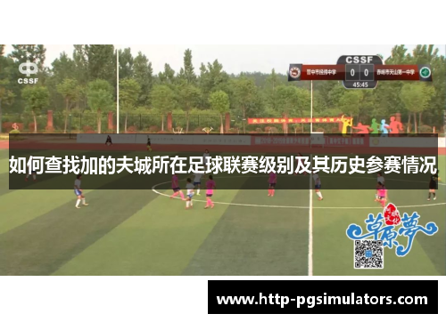 如何查找加的夫城所在足球联赛级别及其历史参赛情况