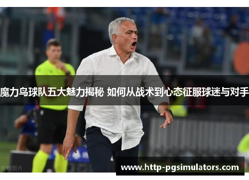魔力鸟球队五大魅力揭秘 如何从战术到心态征服球迷与对手 魔力鸟球队五大魅力揭秘 如何从战术到心态征服球迷与对手