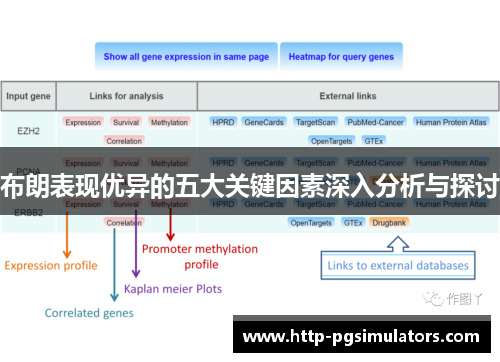 布朗表现优异的五大关键因素深入分析与探讨