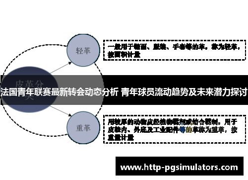 法国青年联赛最新转会动态分析 青年球员流动趋势及未来潜力探讨
